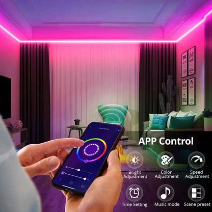LED Strip Neon Lights Smart Life WiFi Bluetooth RGB Neon Sign Tape Room Decor